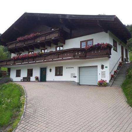 Ferienwohnung Wieser Reizegg 7, 5652 Dienten Dienten am Hochkönig Extérieur photo